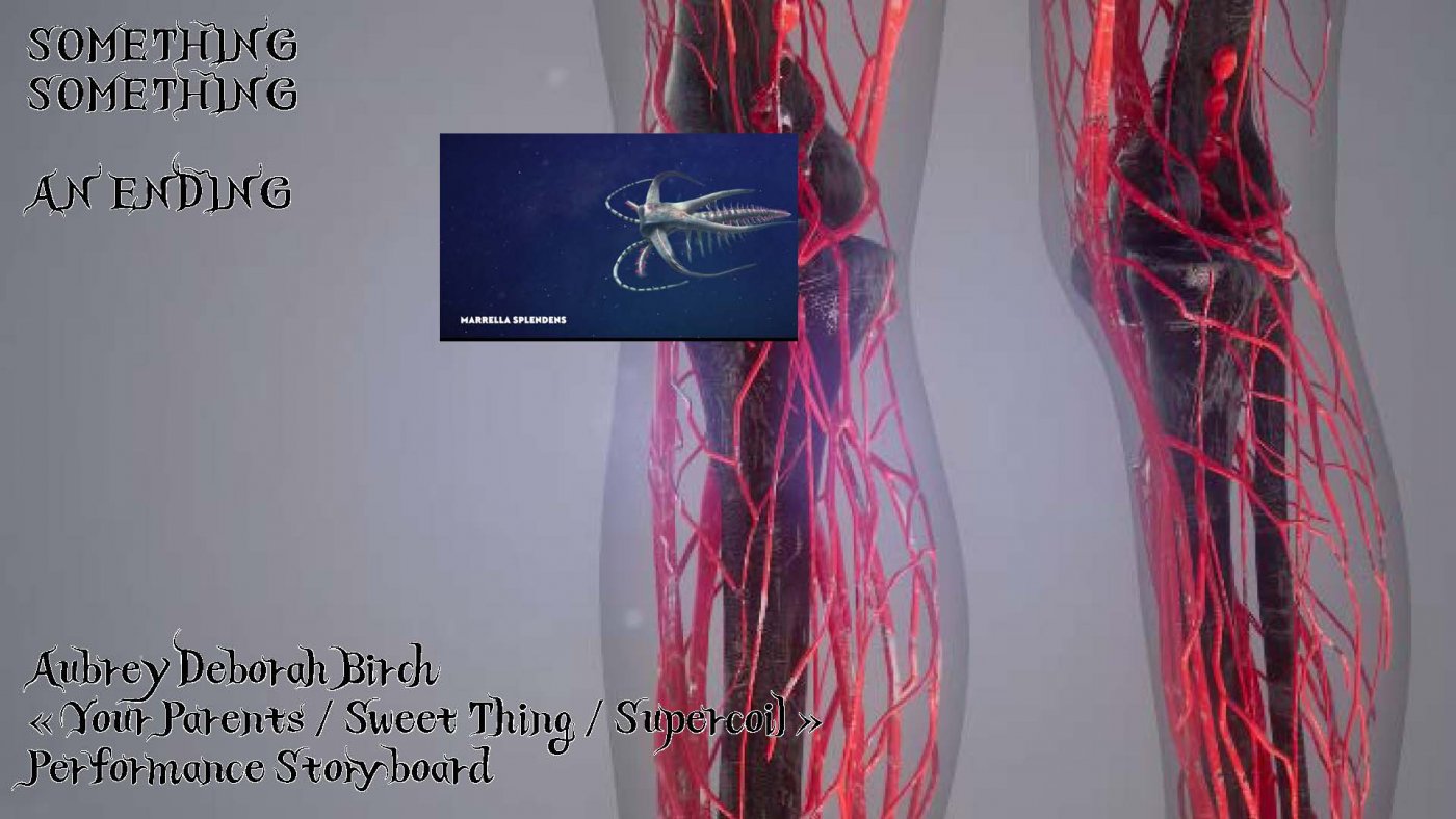 0432_Your Parents Sweet Thing Supercoil_Page_7.jpg